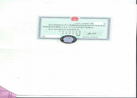 美国佛罗里达公司查询中国使用